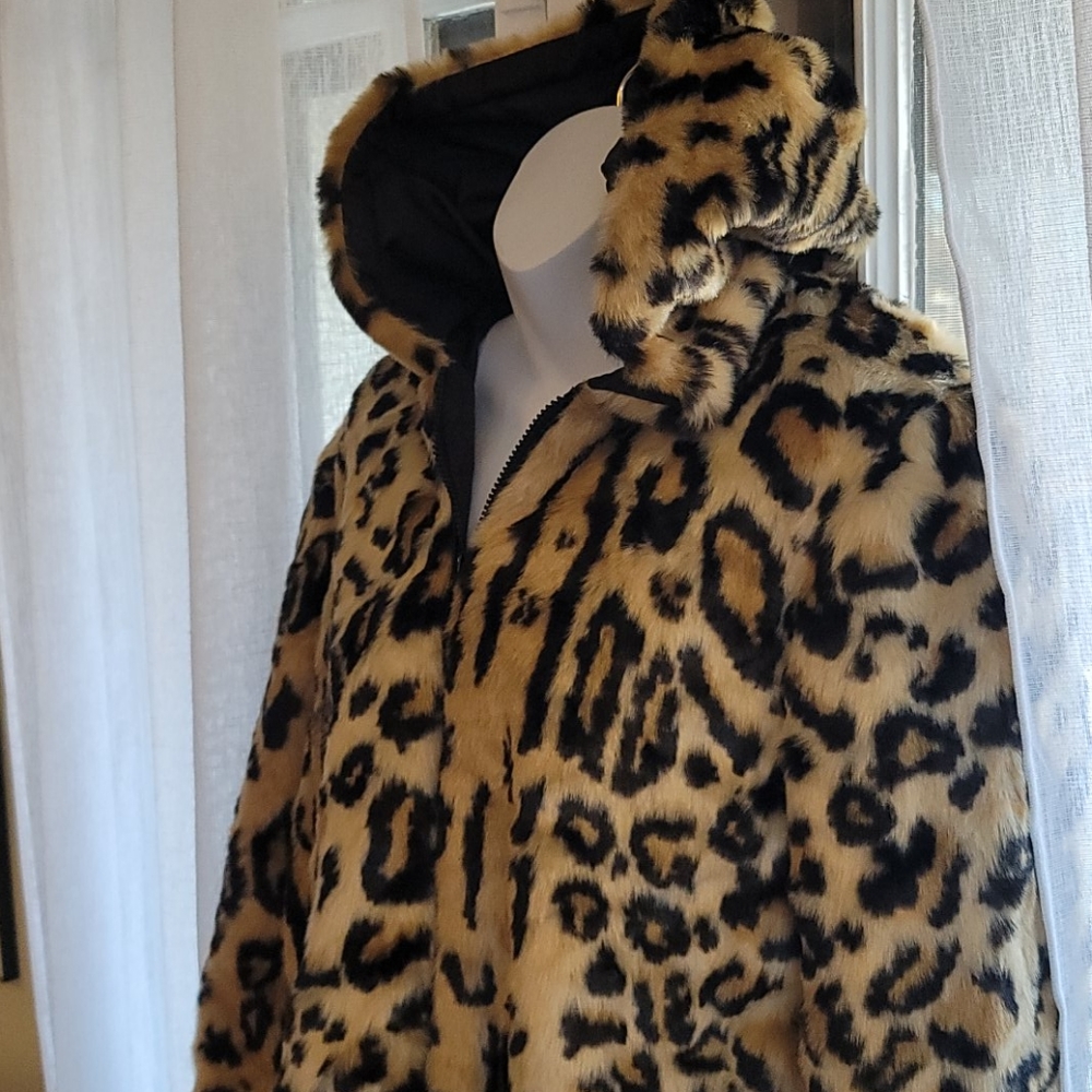 Jacket - Picture 4 of 9